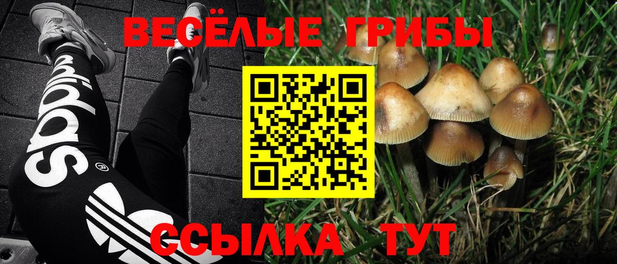 Галлюциногенные грибы GOLDEN TEACHER Бор